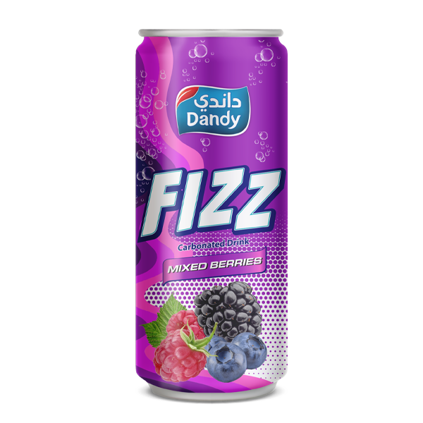 Mix Berries Fizz
